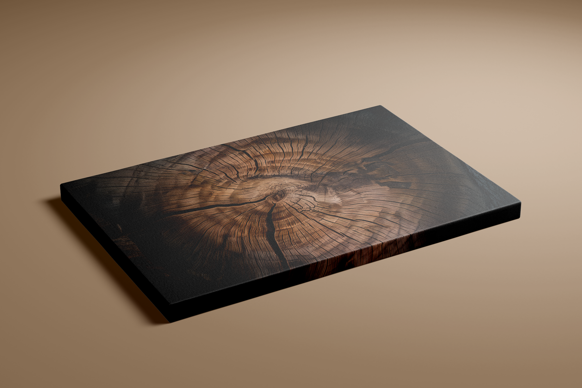 The Life of Trees: Abstract Weathered Wood Texture Art | Rustic & Organic Wall Decor