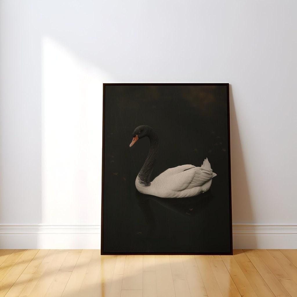 Black Swan Canvas Art: Moody Vintage Lake Scene
