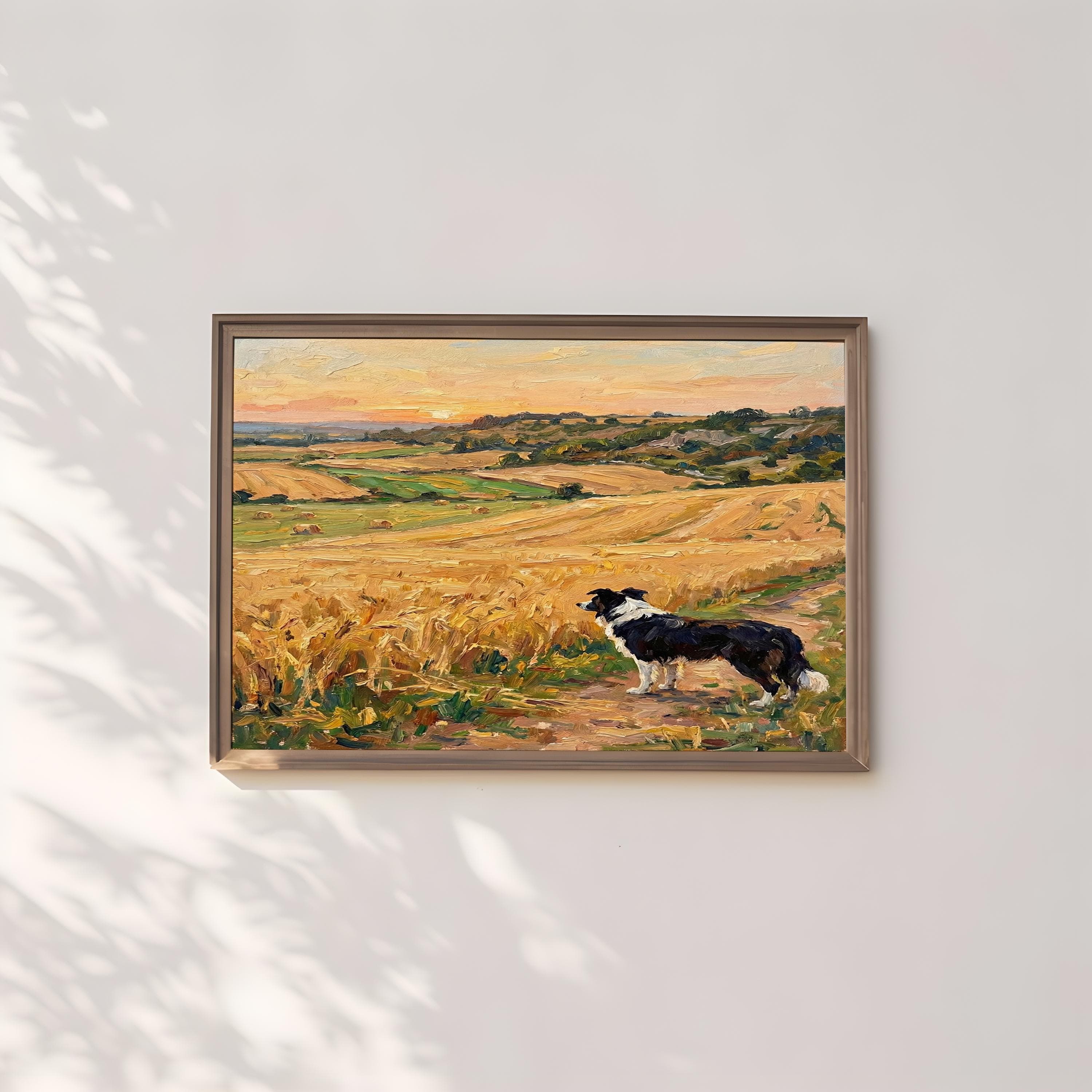 Rustic Border Collie Wall Art - Golden Wheat Field Scene