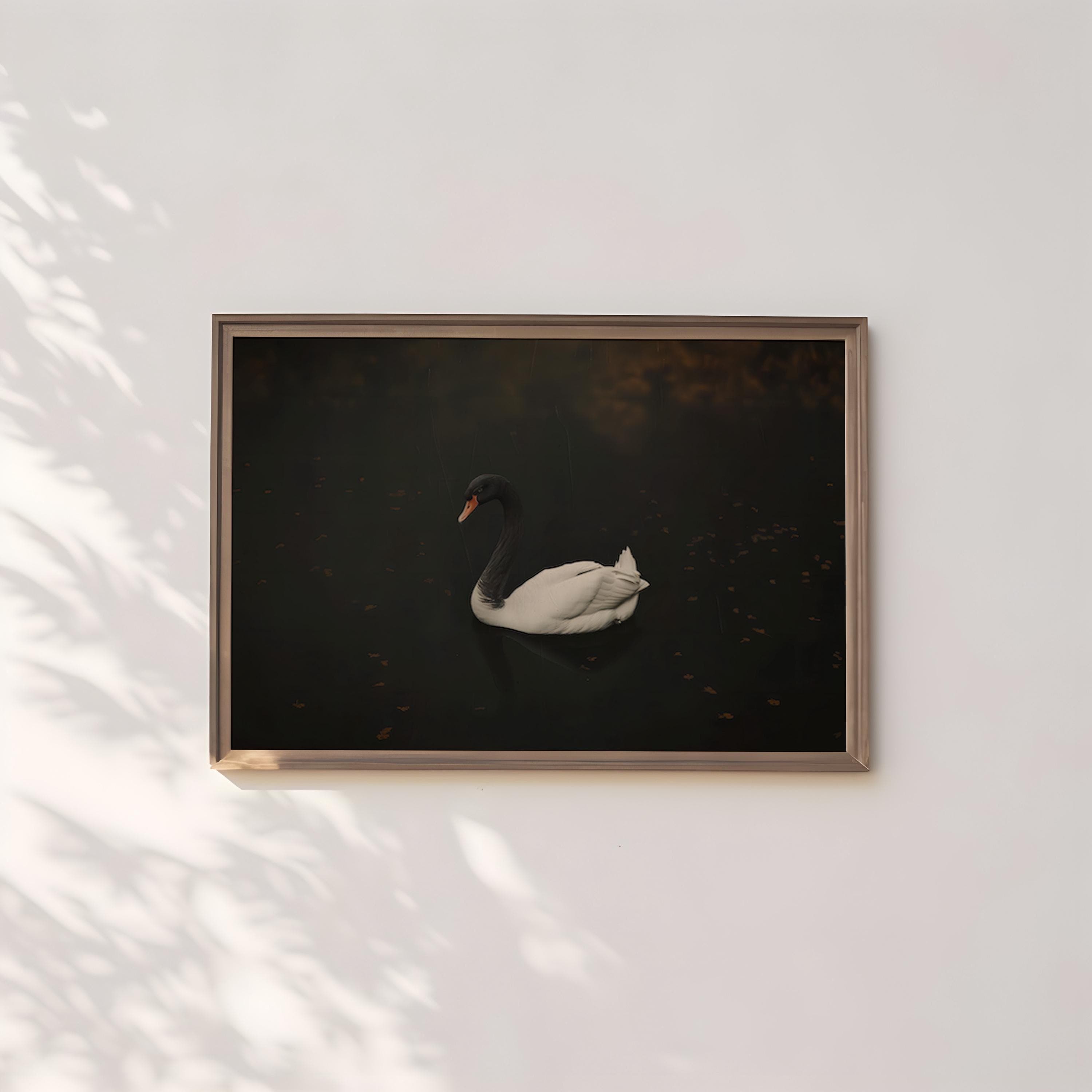 Black Swan Canvas Art: Moody Vintage Lake Scene
