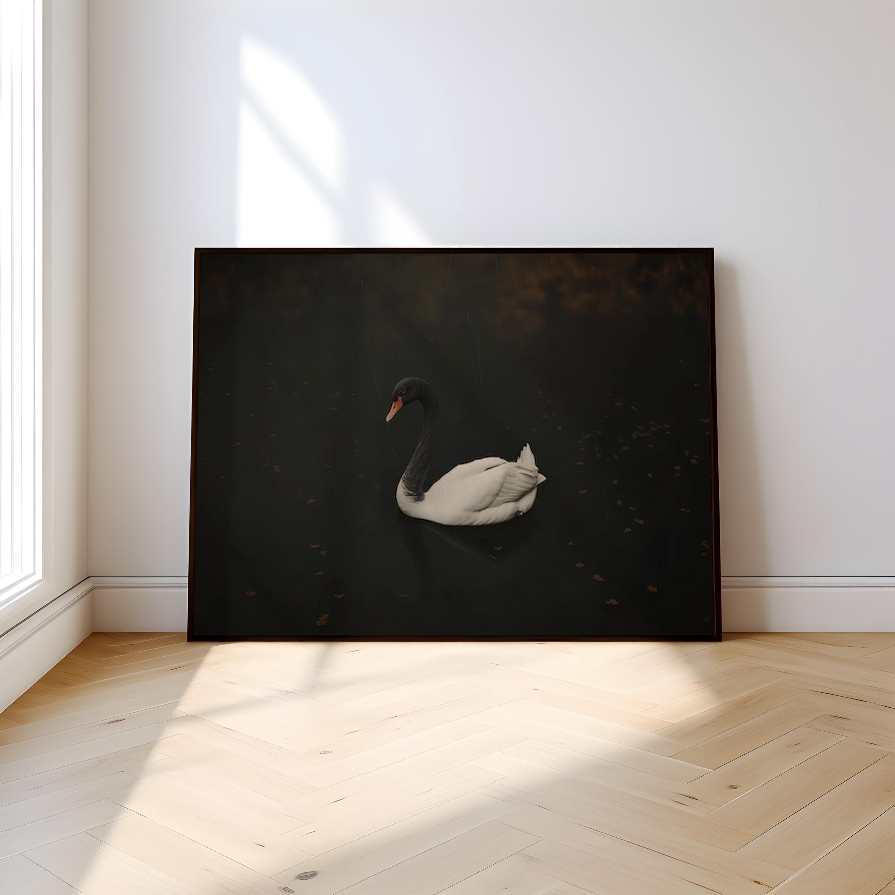 Black Swan Canvas Art: Moody Vintage Lake Scene