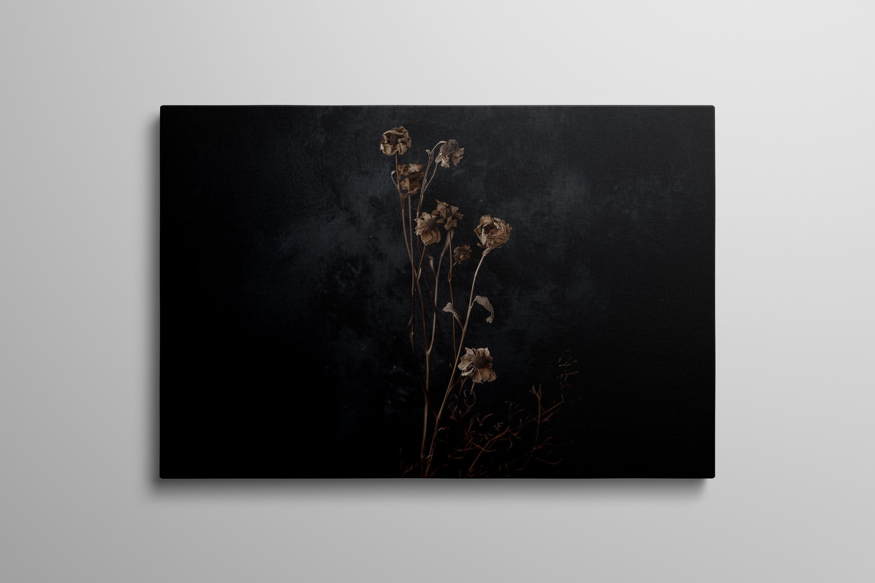 Dark Moody Wildflower Art: Vintage Botanical Print on Canvas