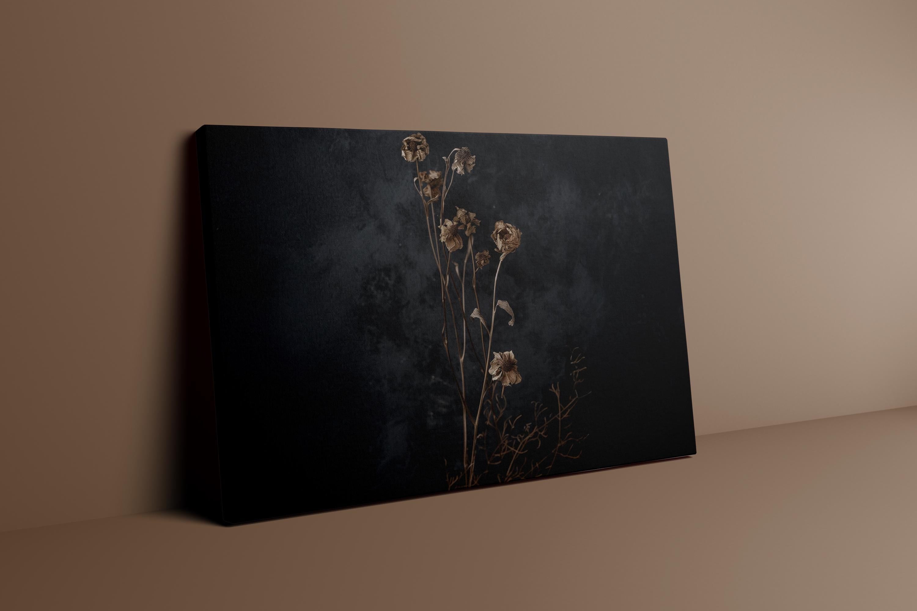 Dark Moody Wildflower Art: Vintage Botanical Print on Canvas