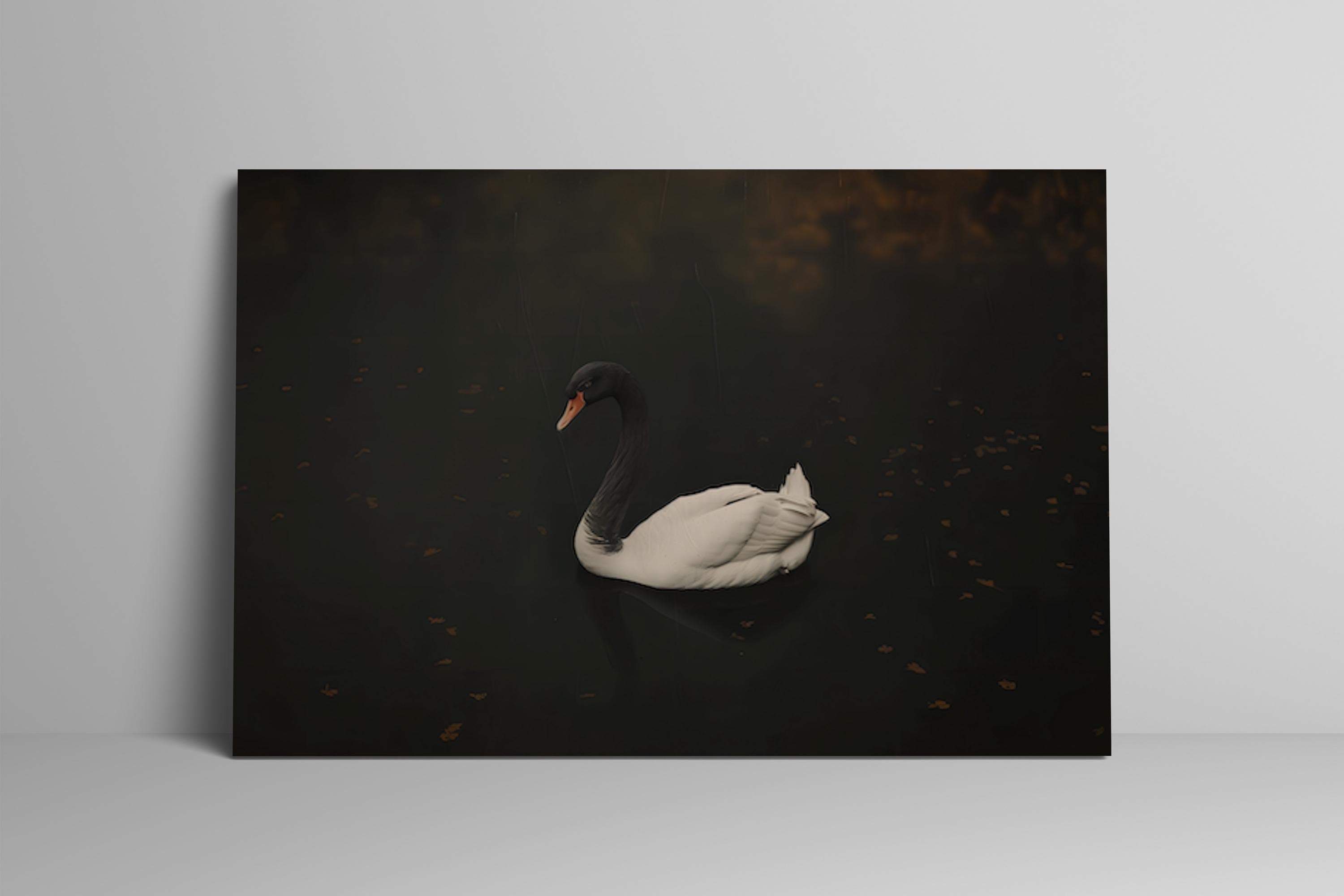 Black Swan Canvas Art: Moody Vintage Lake Scene