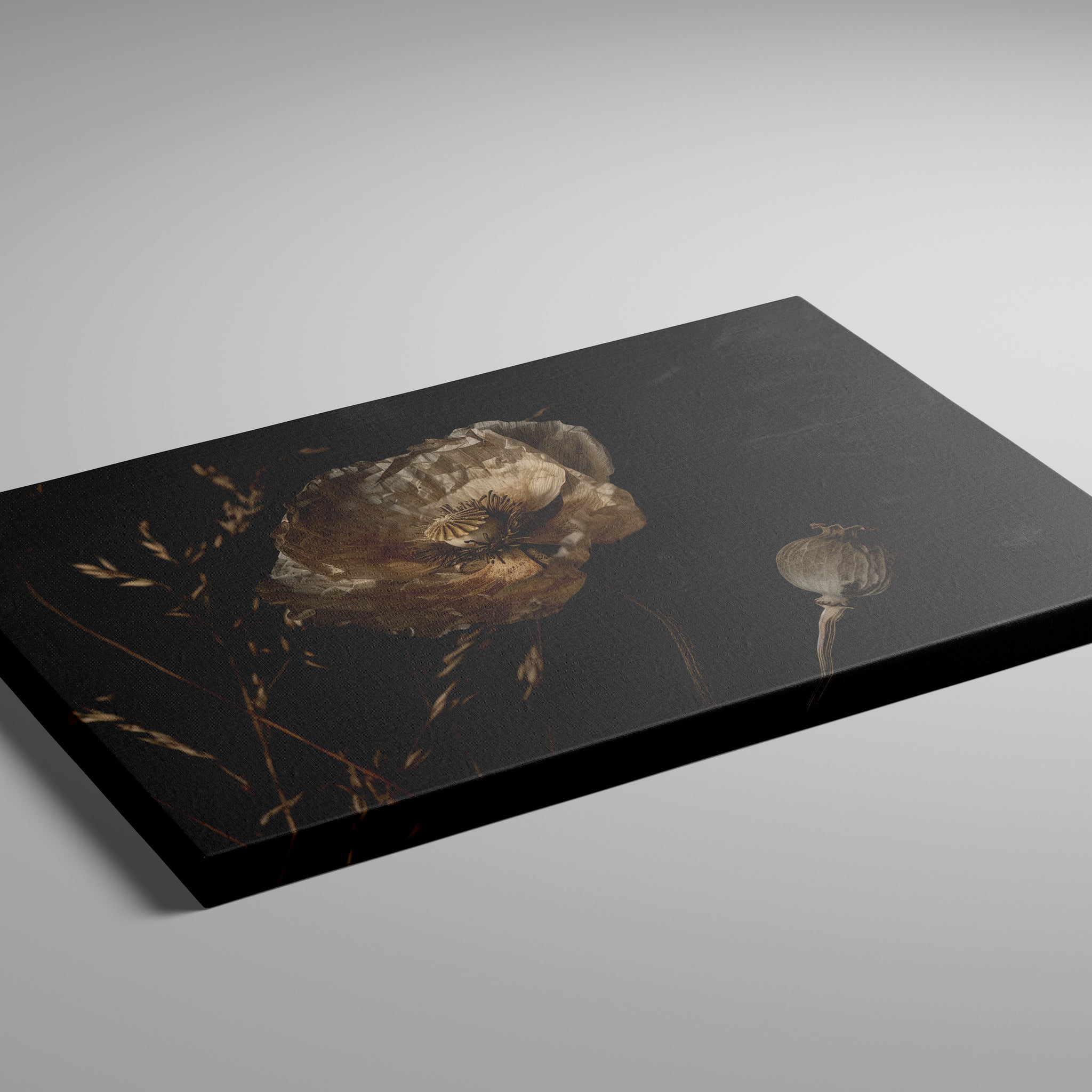 Dried Poppy Seed Pod Art – Textured Oil Painting | Moody Wabi Sabi Decor