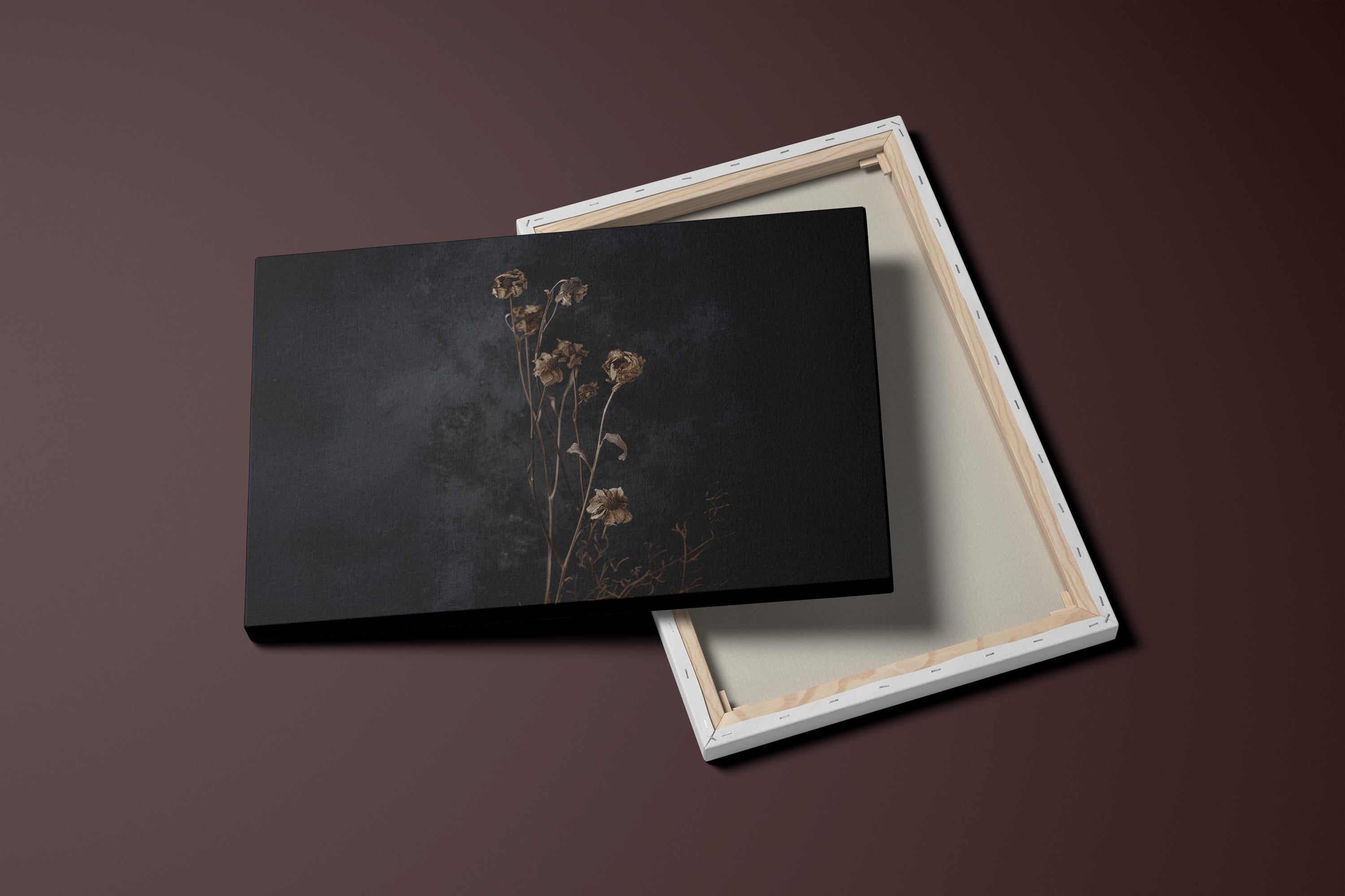 Dark Moody Wildflower Art: Vintage Botanical Print on Canvas