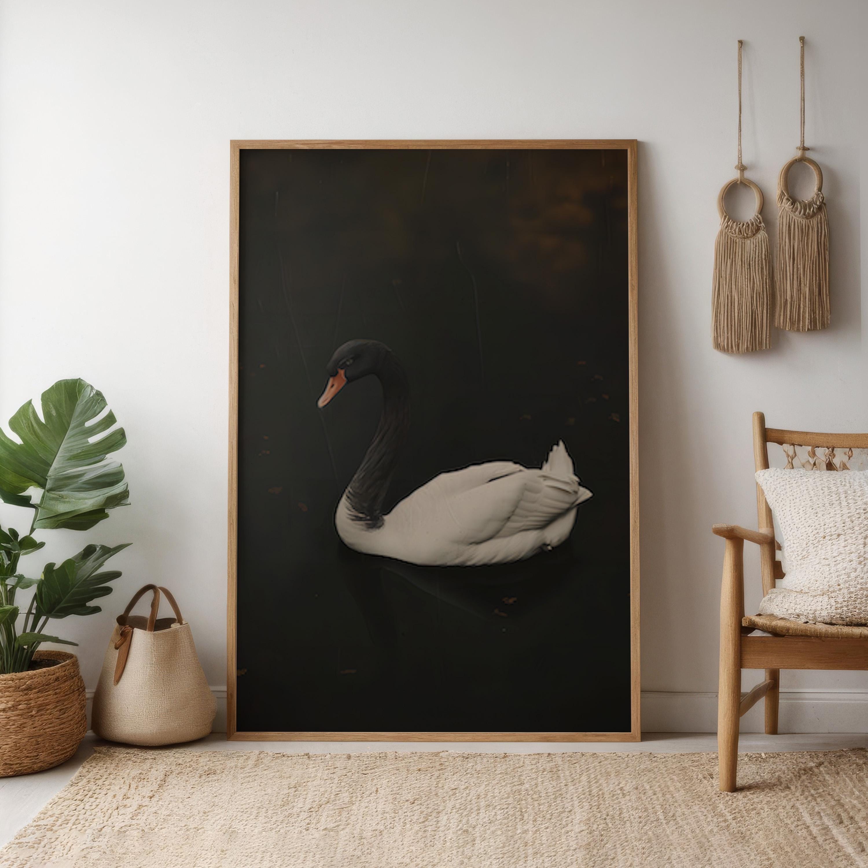 Black Swan Canvas Art: Moody Vintage Lake Scene