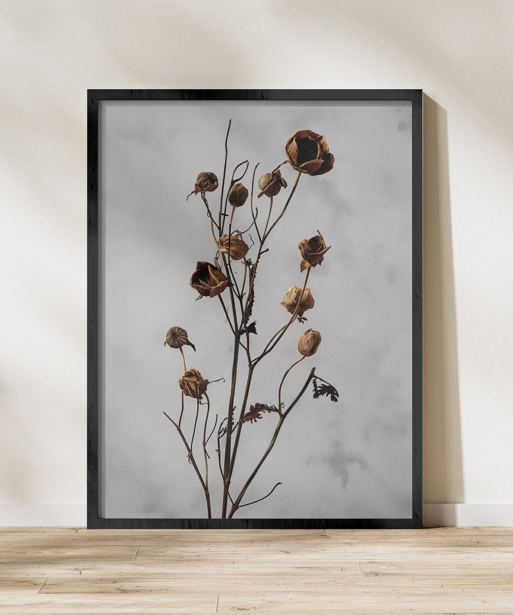 Dark Dried Wildflower Art Botanical Illustrations Interactive Wall Art