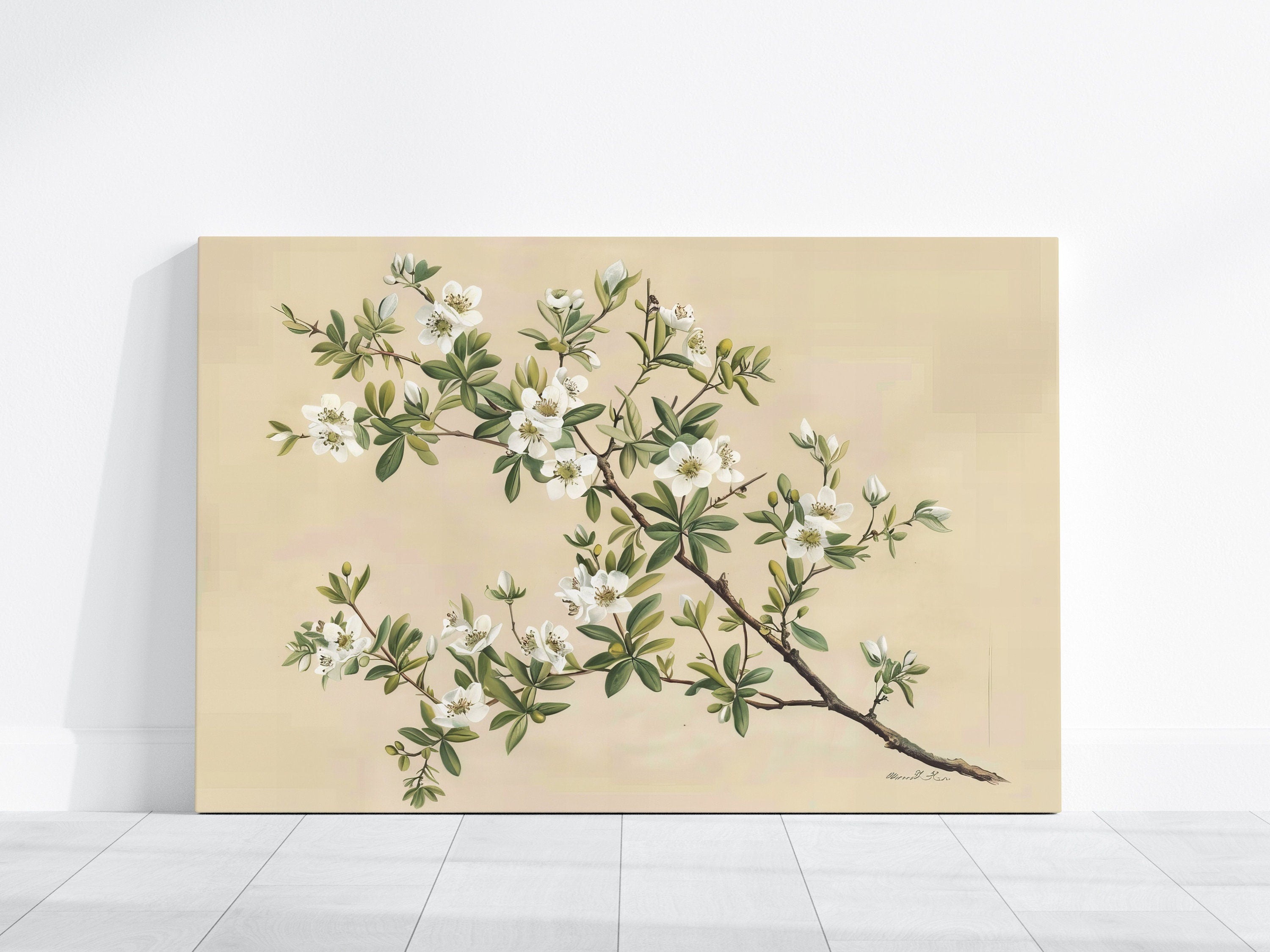 The Governor's Garden: Vintage Botanical White Flower Print | Elegant & Serene Wall Decor